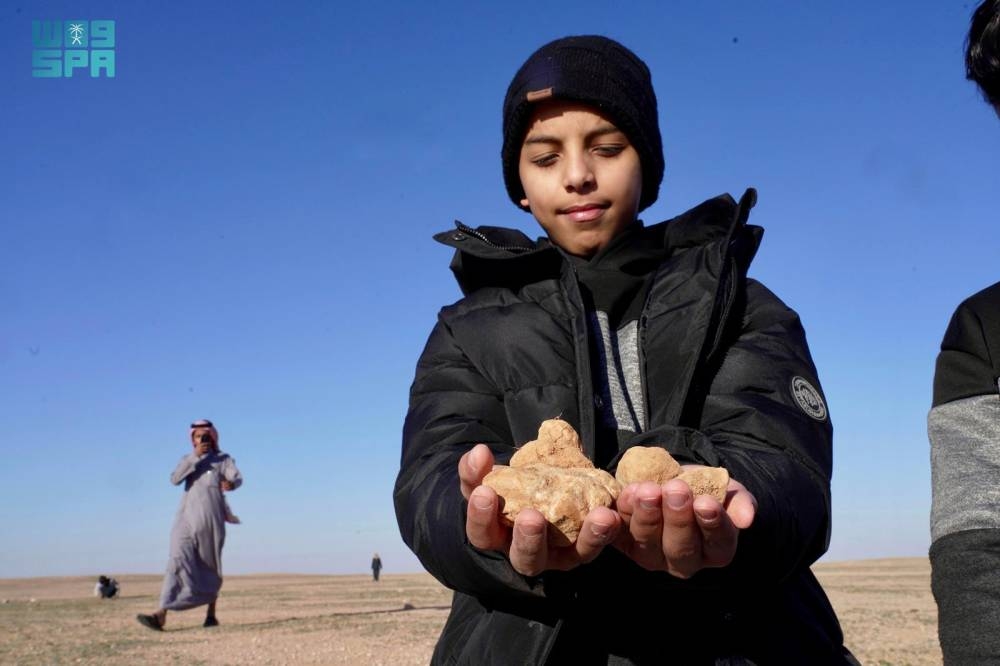 رحلة-البحث-عن-كنز-الشتاء