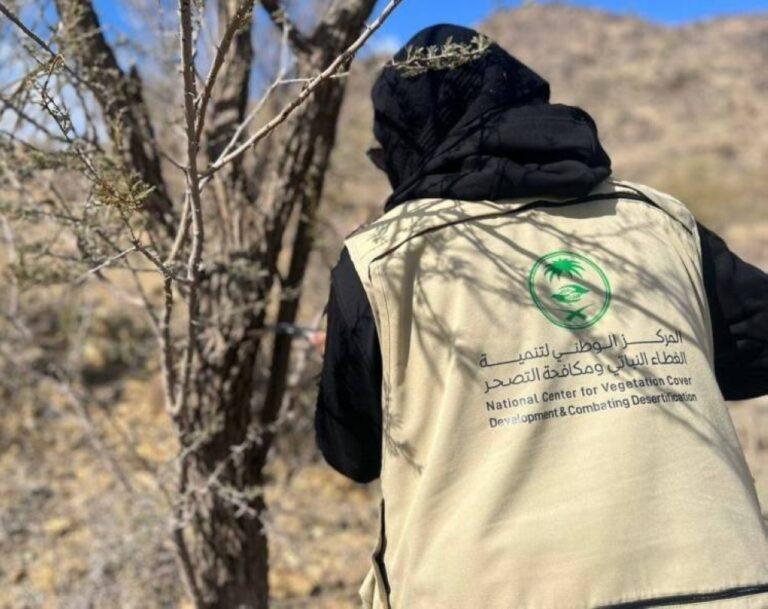 حصر-غابات-جديدة-في-المناطق