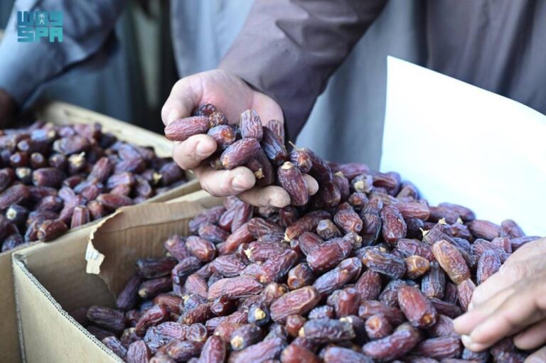 سوق-العُلا-داعم-رئيس-للقطاع-الزراعي