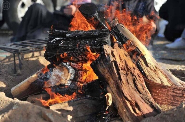 +10-ملايين-غرامات-لمخالفين-لنظام-البيئة