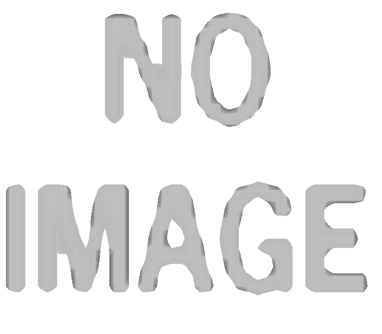 المدينة-تحتضن-10-ملايين-زائر-في-6-أشهر