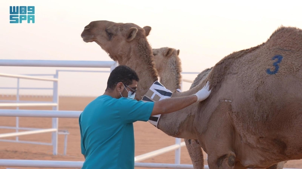 مسح-32-مرضا-حيوانيا