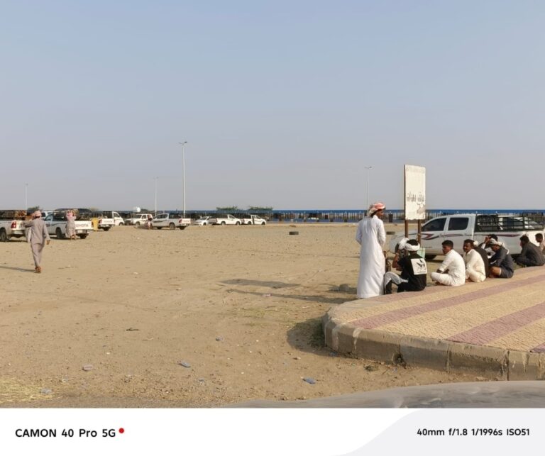 تلقي-الركبان-ظاهرة-أبطالها-عمالة-بلا-رادع