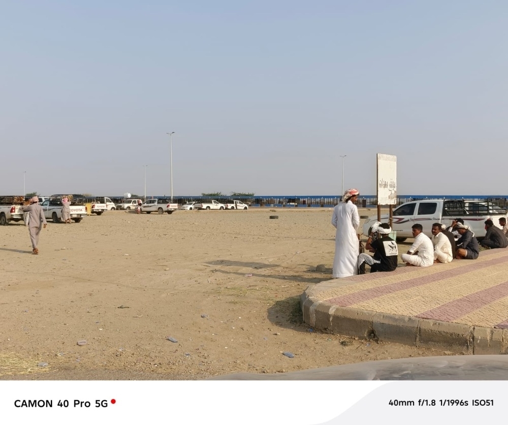 تلقي-الركبان-ظاهرة-أبطالها-عمالة-بلا-رادع