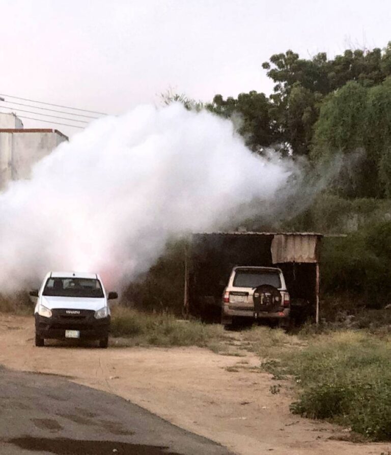 %93-انخفاض-الإصابة-بحمى-الضنك