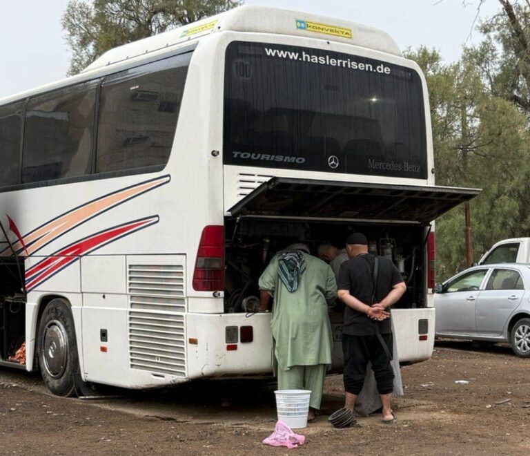 حافلات-ركاب-تزاحم-أهالي-الأحياء-بالمدينة
