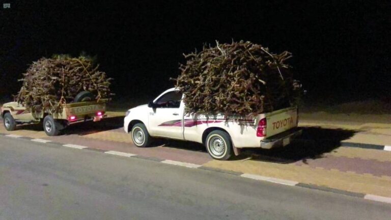 حطب-ورعي-مخالف-بالمدينة-ومحمية-ملكية