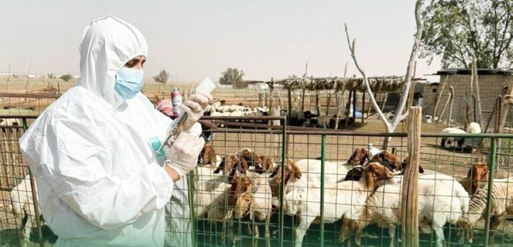 تعزيز-الوقاية-من-العدوى-الحيوانية-والبيئية