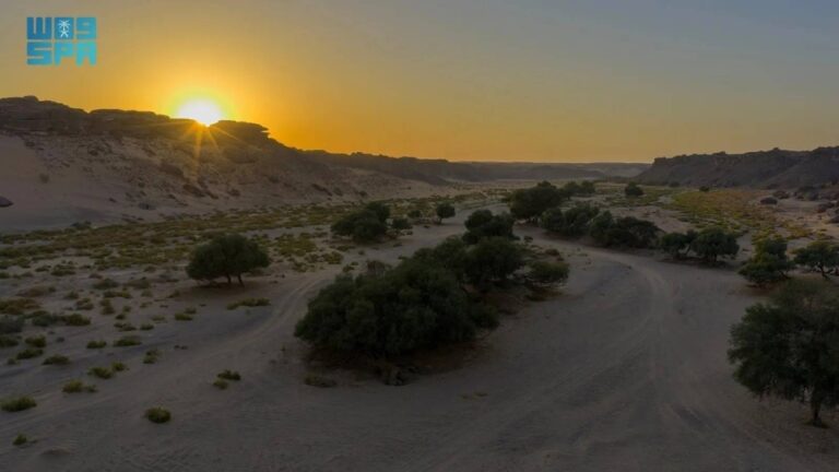 حملة-توعوية-للتنوع-البيئي