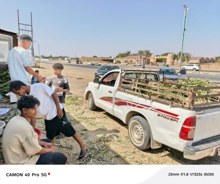 جازان-تتصدى-لبرد-الشتاء-بالخضير