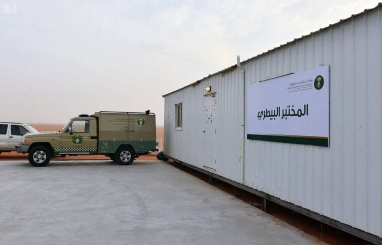 %82-انخفاضا-بيطريا-بمشاريع-الدجاج-البياض