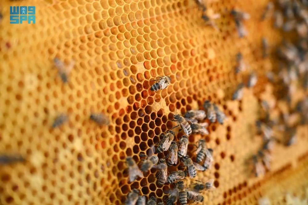 7786-طن-إنتاج-العسل-بالمناطق