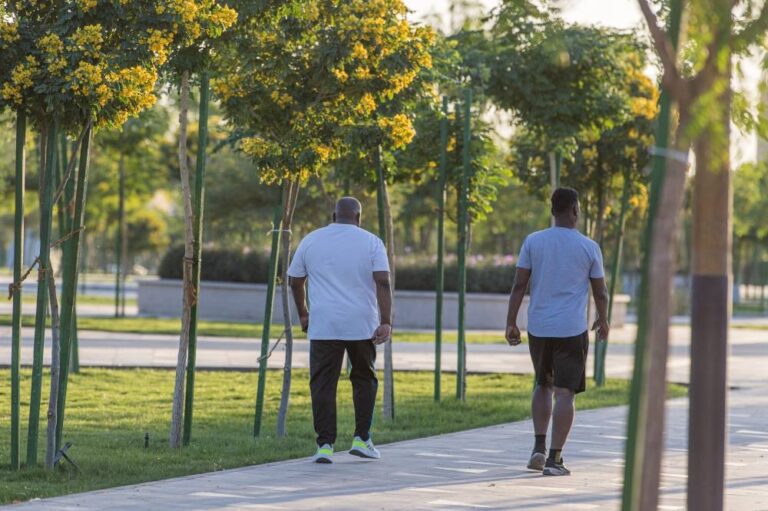 50-ألف-شجرة-أكاسيا-تغطي-شوارع-المدينة