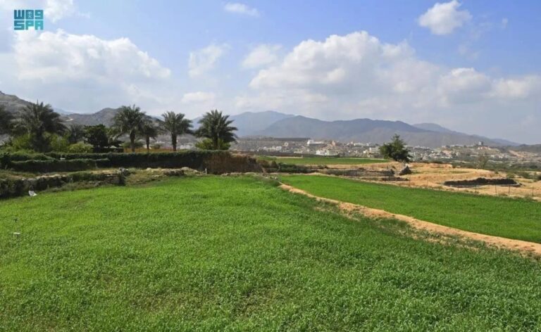 حسابات-وهمية-تستغل-الراغبين-في-دعم-ريف