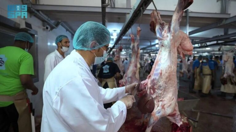 كاميرات-مراقبة-وqr-ودفع-إلكتروني-بالمسالخ