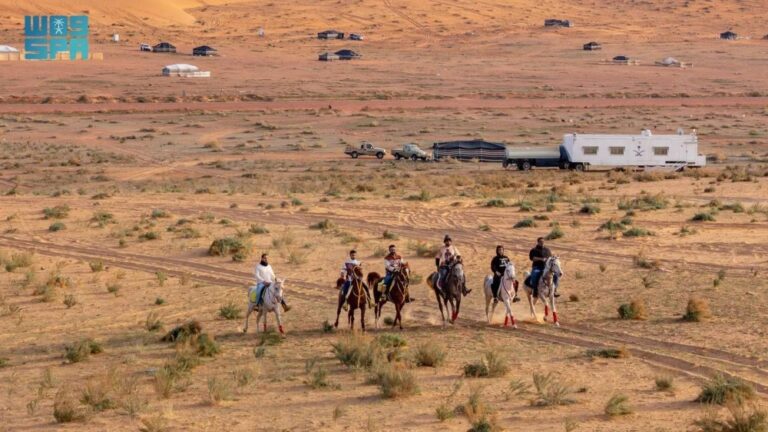 دعوة-هواة-الرحلات-للاستفادة-من-plb