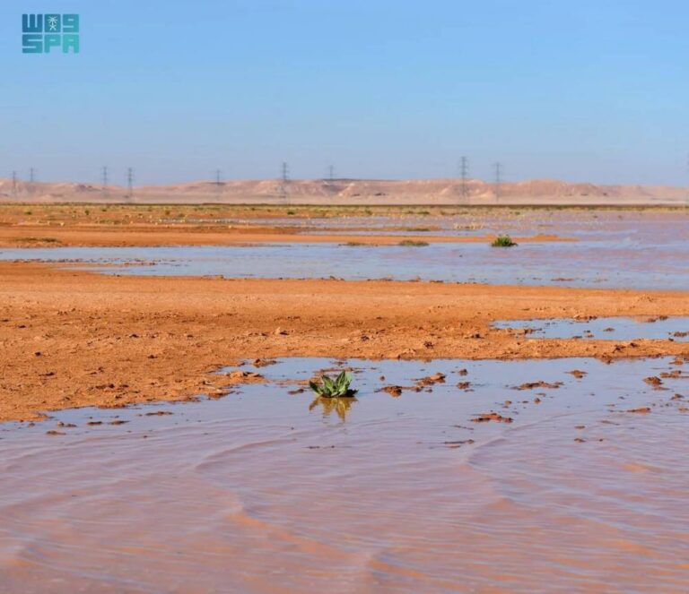 439-محطة-لرقابة-الآبار