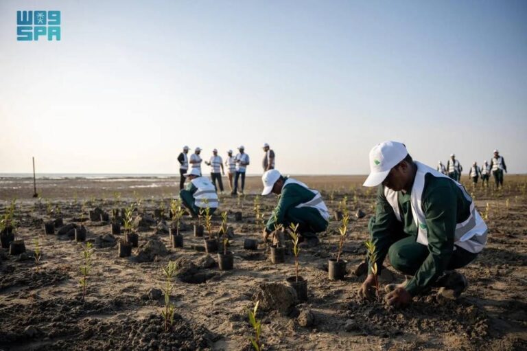 حملة-لحماية-الموارد-الطبيعية
