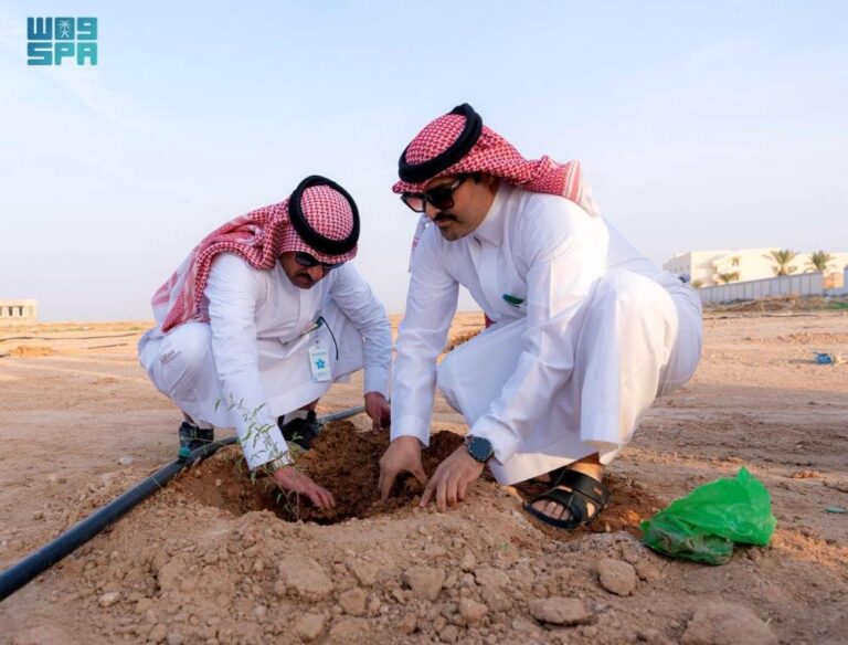 629-ألف-شتلة-بحفر-الباطن