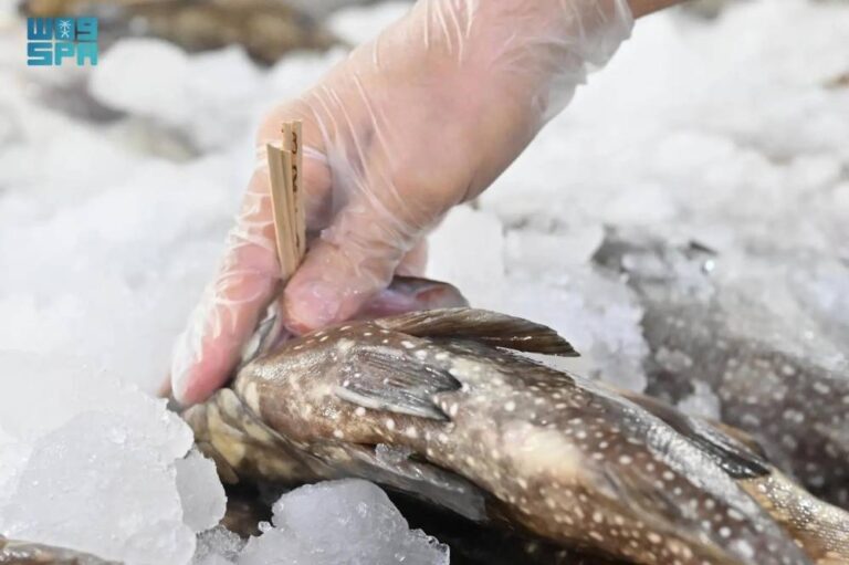 ضبط-760-كجم-أغذية-فاسدة