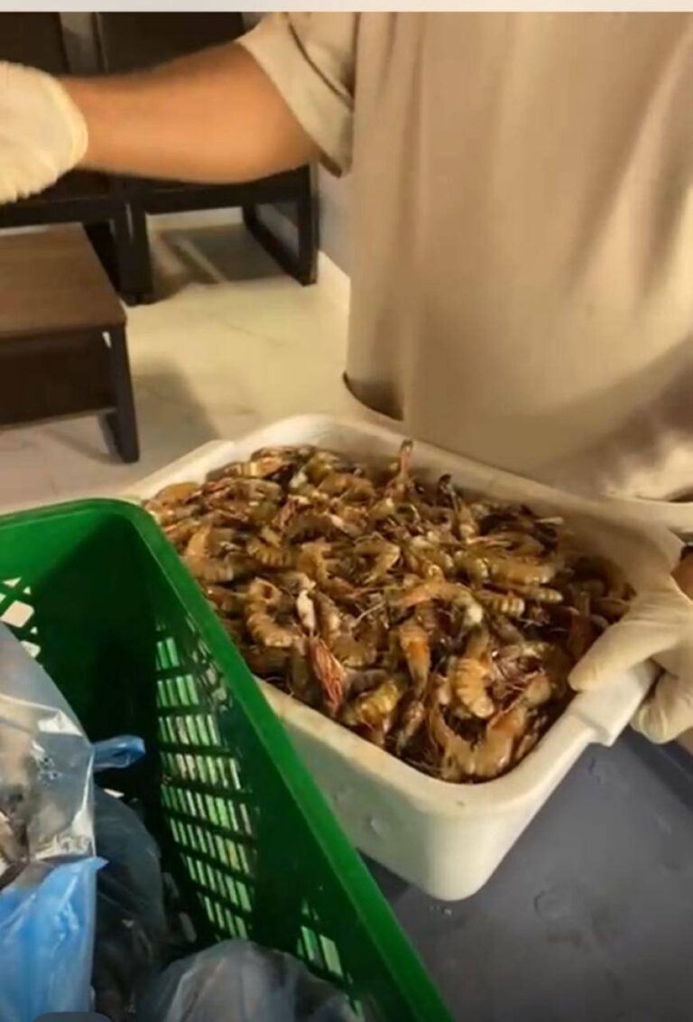 زراعة-عسير:-ضبط-760-كجم-من-الأسماك-والدواجن-غير-الصالحة-للاستهلاك-الآدمي