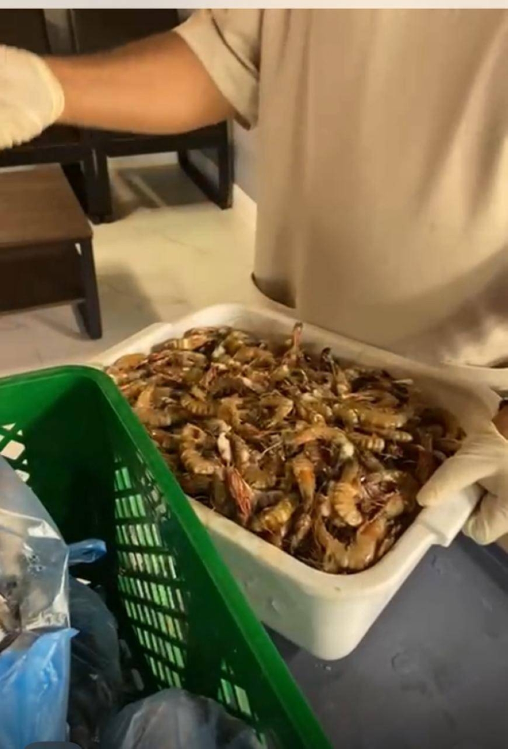 زراعة-عسير:-ضبط-760-كجم-من-الأسماك-والدواجن-غير-الصالحة-للاستهلاك-الآدمي