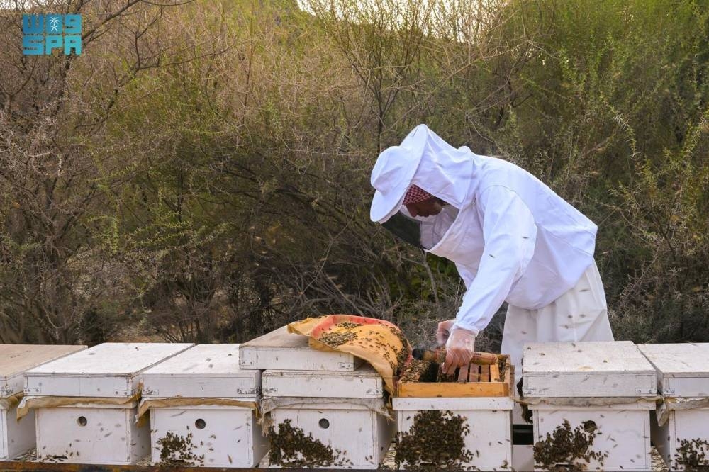 1800-طرد-من-المعدات-الحديثة-للنحالين