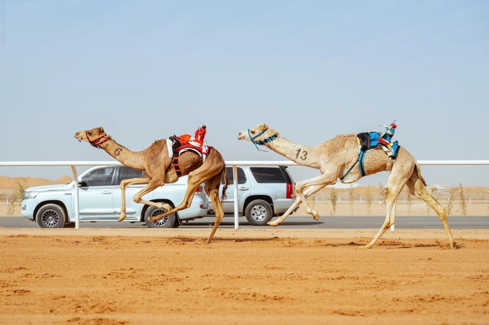 مهرجان-خادم-الحرمين-للهجن.-قرية-الجنادرية-تعزز-مفهوم-“الاستثمار-في-التراث”