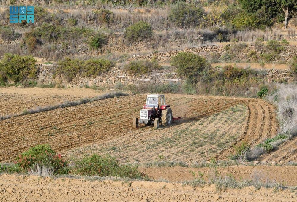 استقرار-الطقس