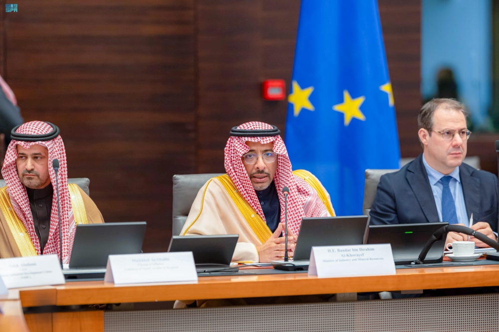 وزير-الصناعة-يبحث-الفرص-الاستثمارية-مع-ممثلي-القطاع-الخاص-البلجيكي