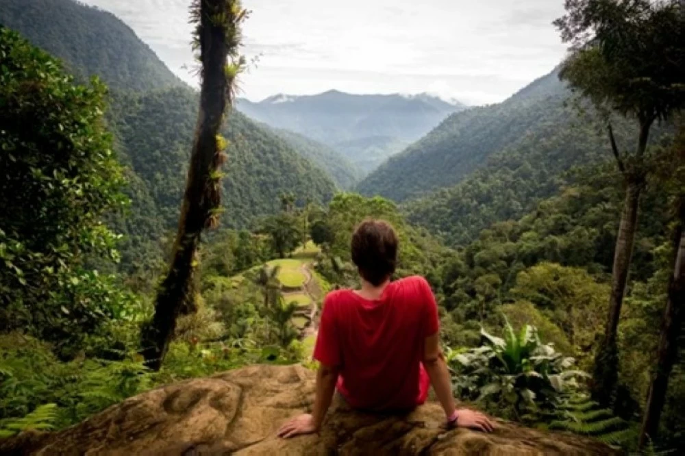 كيف-أخفت-غابات-كولومبيا-«مدينة-السماء»؟