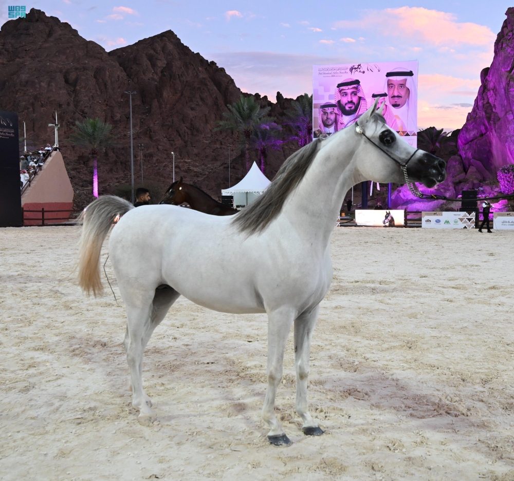 الهوية-والتراث-الأصيل.-الخيل-ملهمة-الفنانين-والشعراء-العرب