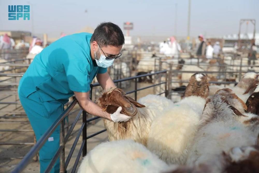 تحصين-70-مليون-حيازة-ورصد-27-ألف-كم²-لمكافحة-الآفات