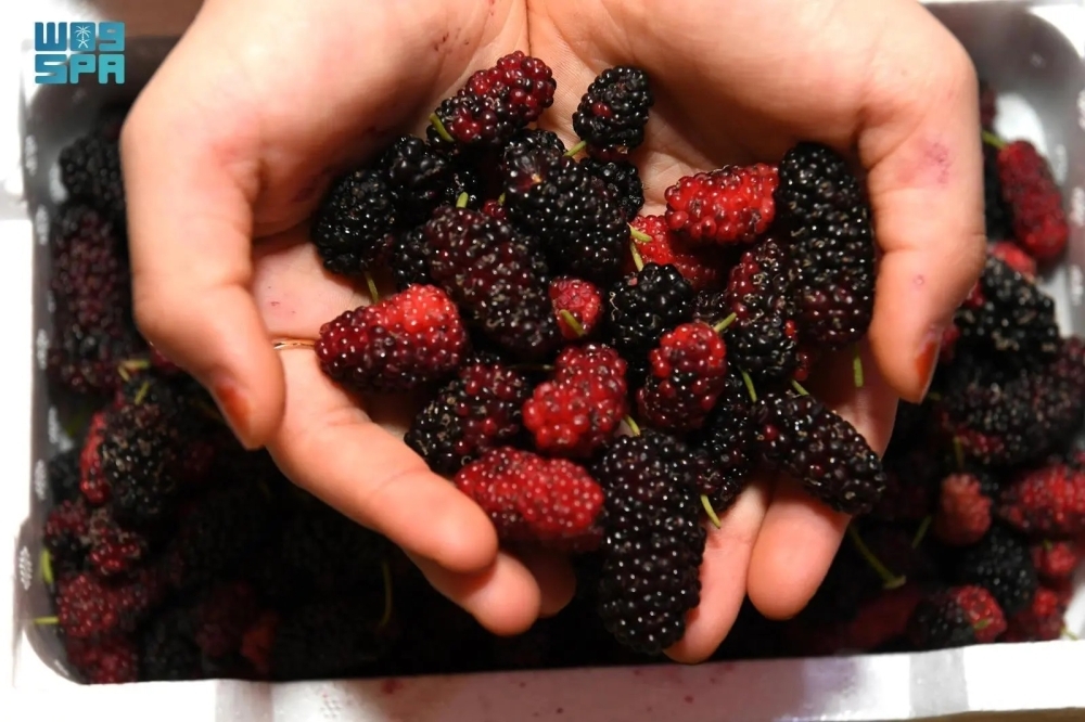 10-أهداف-وآليات-سعودية-لتعزيز-الغذاء-وجودة-الحياة