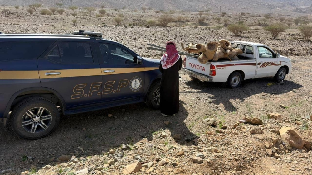 %84-من-مخالفي-نظام-البيئة-مواطنون