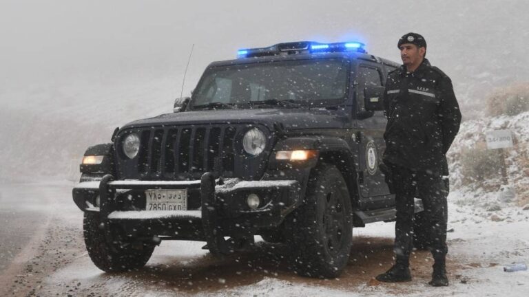 جهود-وحماية