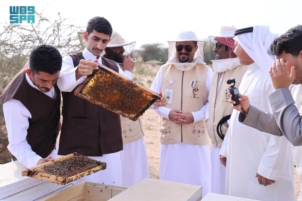 جهود حكومية لتعزيز تربية النحل بعسير