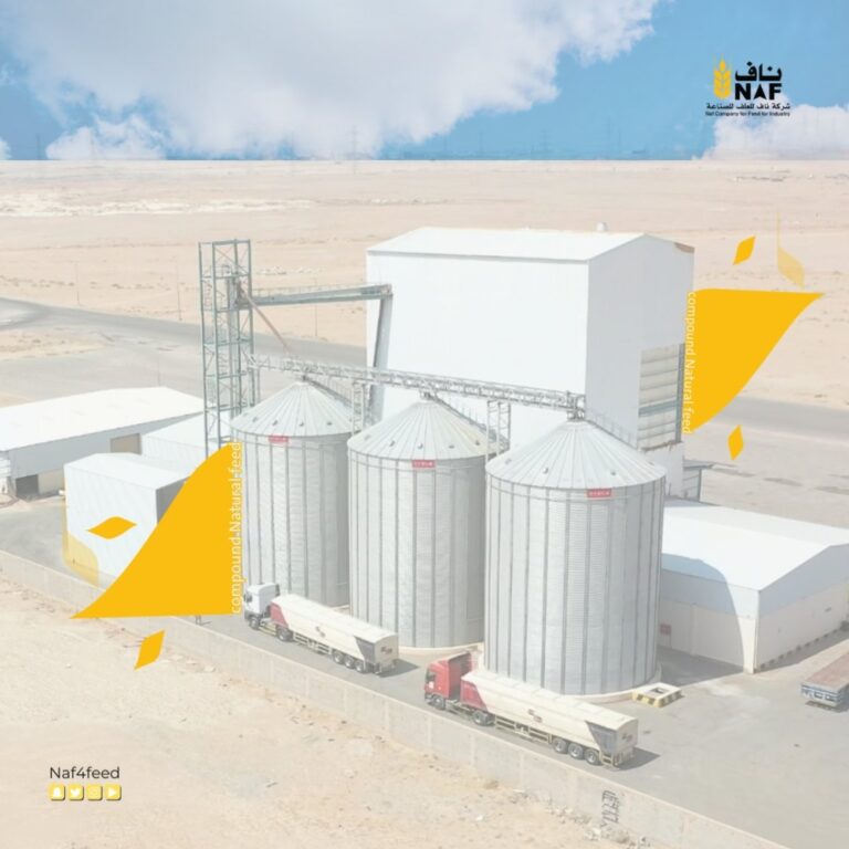 «ناف»-تنهي-عقدين-لتوريد-أعلاف-الدواجن-بالتراضي-لعدم-ملائمة-الأسعار