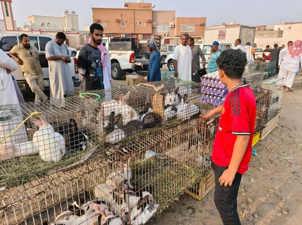 مطالبات بإنشاء سوق للطيور وبلدية الدرب: خارج اختصاصنا