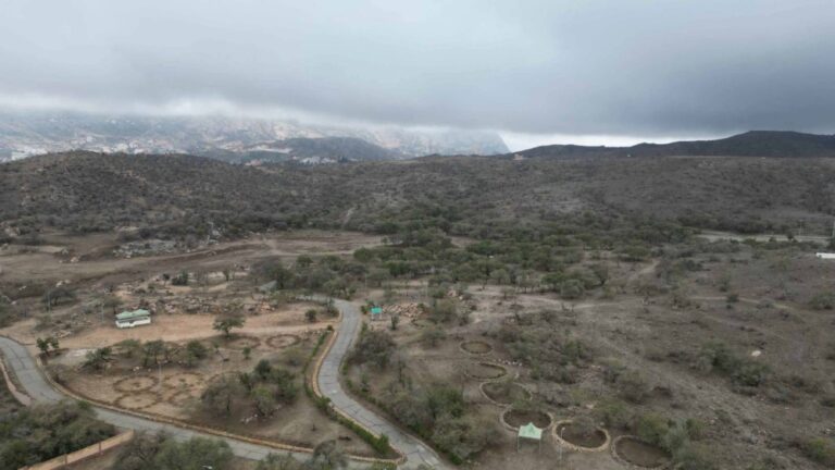 الغطاء-النباتي:-3-ملايين-م2-فرص-استثمارية-لتعزيز-السياحة-البيئية-بالباحة