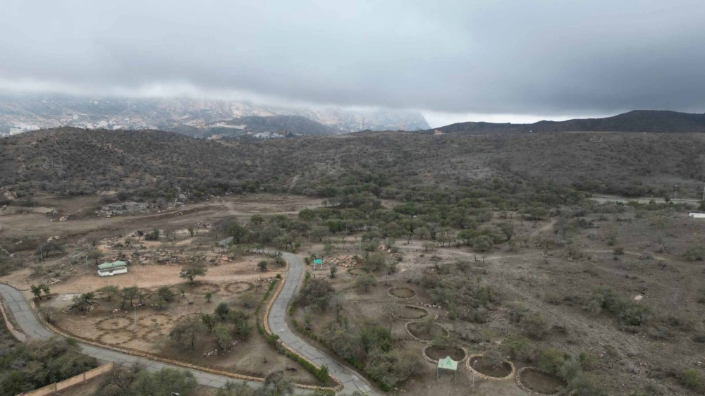 الغطاء النباتي: 3 ملايين م2 فرص استثمارية لتعزيز السياحة البيئية بالباحة