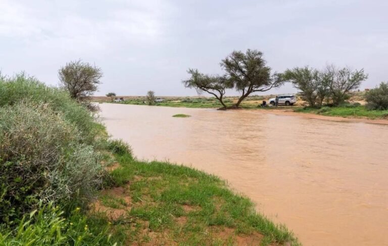 %160-ارتفاع-معدلات-الأمطار-في-النصف-الأول-من-أبريل