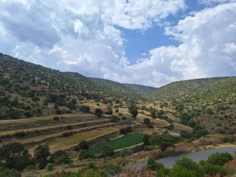 أجواء-ربيعية-ماطرة