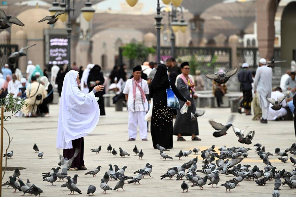 خطة تشغيلية لكفاءة الخدمات بالمدينة