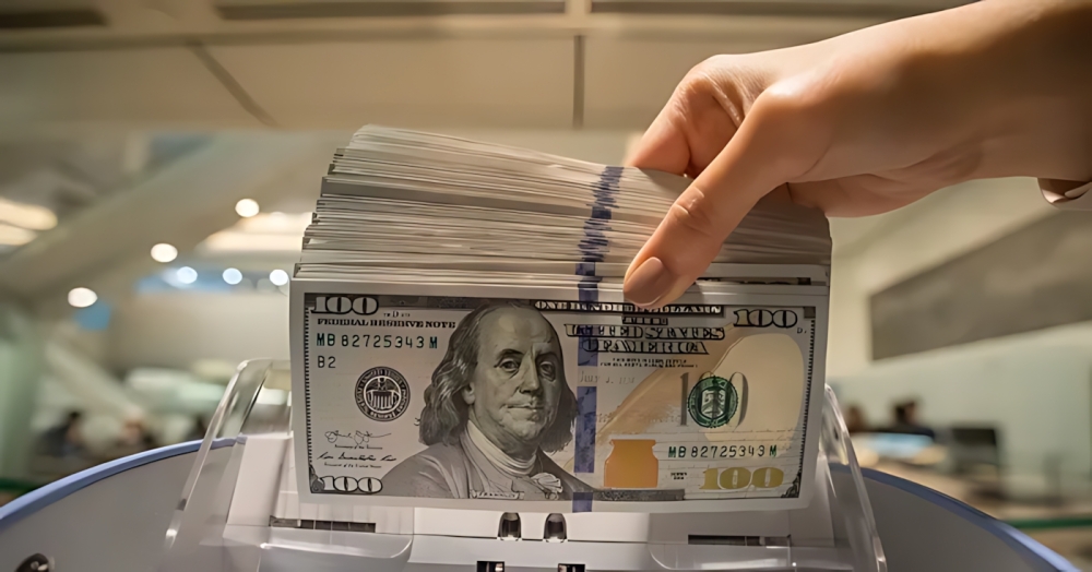 سعر الدولار مقابل الجنيه اليوم الأربعاء.. استقرار في البنوك المصرية