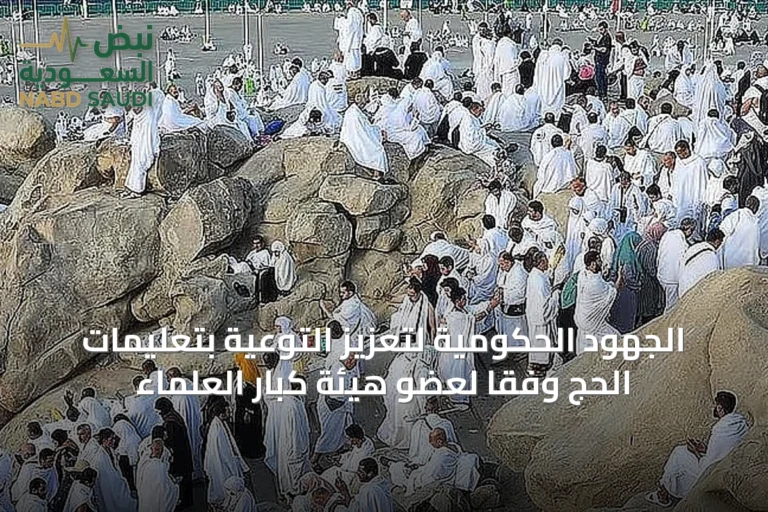 الجهود الحكومية لتعزيز التوعية بتعليمات الحج وفقاً لعضو هيئة كبار العلماء