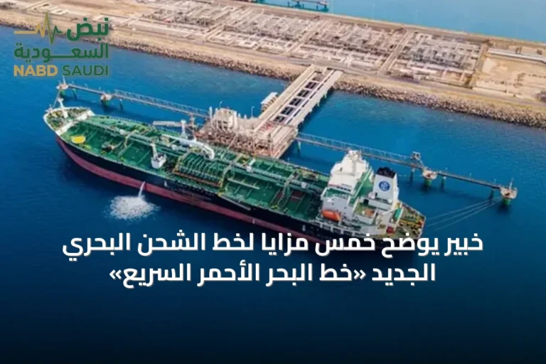 خبير يوضح خمس مزايا لخط الشحن البحري الجديد «خط البحر الأحمر السريع»
