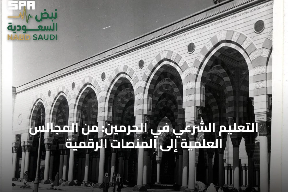 التعليم الشرعي في الحرمين: من المجالس العلمية إلى المنصات الرقمية