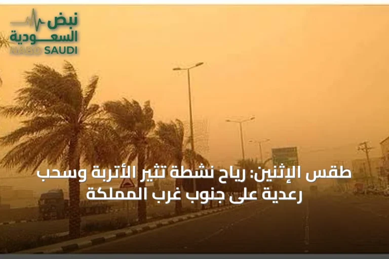 طقس الإثنين: رياح نشطة تثير الأتربة وسحب رعدية على جنوب غرب المملكة