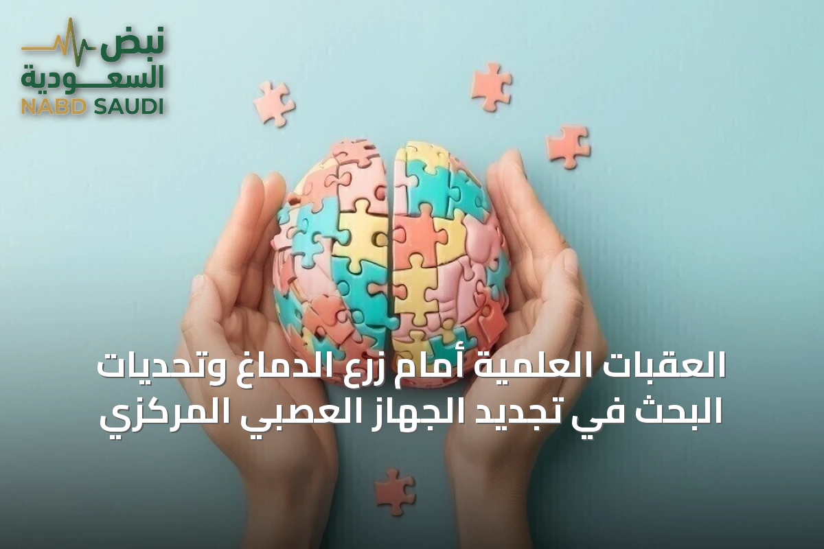 العقبات العلمية أمام زرع الدماغ وتحديات البحث في تجديد الجهاز العصبي المركزي